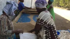 Wakulima wa ufuta Tanzania