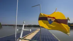Bandeira amarela, com faixa marrom e brasão vermelho, branco e azul com um pássaro ao centro