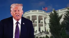 Nội các mới của Trump gồm những ai?
