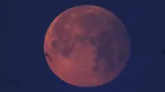 Moon. File photo