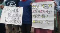 ২০১৭ সালে নির্বিচারে কুকুর নিধনের বিরুদ্ধে প্রতিবাদ জানায় পশুপ্রেমীরা