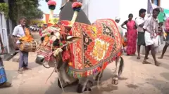 గంగిరెద్దులు
