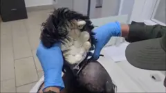 کشف بسته‌های کوکائین جاسازی‌ شده در کلاه‌گیس یک قاچاقچی در کلمبیا