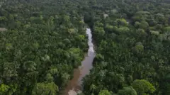 Floresta amazônica vista do alto