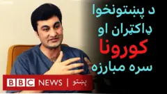 په پښتونخوا کې د کورونا وبا پیل راهیسې د عامو ناروغانو ترڅنګ ګڼ شمېر ډاکټران هم له دې وېروس مړه شوي دي.