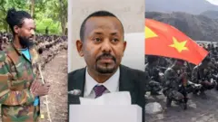 MM Abiy Ahmad haasaa Adoolessa 7, 2026 wayita haasaa paarlaamaarratti taasisan hidhattoota balleessuun akka hin danda'amne dubbatan