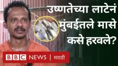 उष्णता लाट, मासेमारी