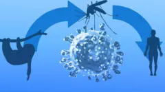 ஓரோபோச் வைரஸ் 