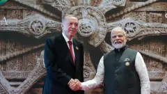 पीएम नरेंद्र मोदी और तुर्की के राष्ट्रपति अर्दोआन