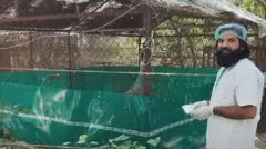 आरिफ़ और सारस