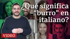 Falsos amigos lingüísticos