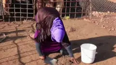 ሶብሓ