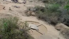 மயிலாடும்பாறை