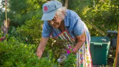 gardening