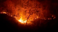 در نتیجه آتش‌سوزی بزرگی در جنوب‌شرقی کره جنوبی، دست‌کم دو نفر جان باختند و صدها نفر مجبور به تخلیه خانه‌های‌شان شدند.