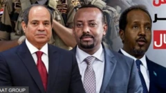የግብጽ ፕ/ት አብዱል ፋታህ አል ሲሲ፣ የኢትዮጵያ ጠ/ሚ ዐቢይ አሕመድ እና የሶማሊያ ፕ/ት ሐሰን ሼክ ሙሐመድ
