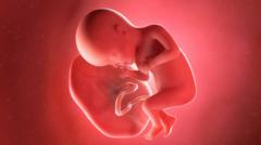 Kasus penyelundupan plasenta bayi untuk bahan baku 'obat awet muda' terungkap di Pakistan