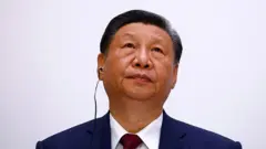 Xi Jinping 