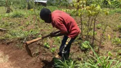 Elia Maniraguha arimo guhinga 