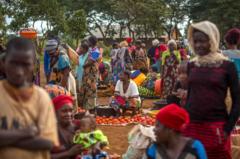 Tanzania: Impunzi z'Abarundi z'i Nduta na Nyarugusu zahawe igihe ntarengwa co kwiyandikisha ngo zihunguke