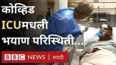 कोरोना दवाखाना