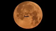 ما هو قمر الفراولة؟
