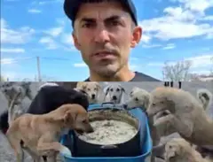 Zaqatala it sığınacağı