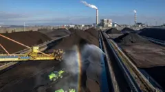 कोळशासारख्या जीवाश्म इंधनाच्या वापरामुळे पर्यावरणाचं सर्वाधिक नुकसान करणारे वायू उत्सर्जित होतात