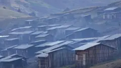 ኣብ ከም ኢትዮጵያ ዝኣመሰላ ዘይሰልጠና ሃገራት ዕንጨይቲ ከም ቀንዲ መርከቢ ሓይሊ ተገይሩ ይውሰድ