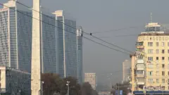 дим 