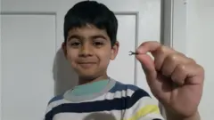 Samir Anwar