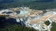 Tambang batubara di tengah hutan Kalimantan.