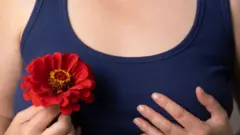 प्लास्टिक सर्जरी की मदद से स्तनों को बेहतर बनाने की हिमायत करती एक तस्वीर