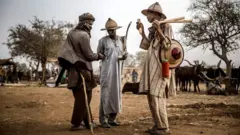 Ndị ọchịehi