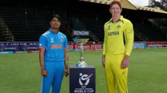 क्रिकेट