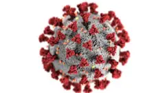 Etu nje coronavirus dị