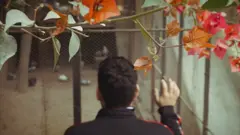 احمدی برادری