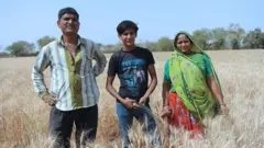 ગુજરાત, ખેડૂત, બીબીસી ગુજરાતી