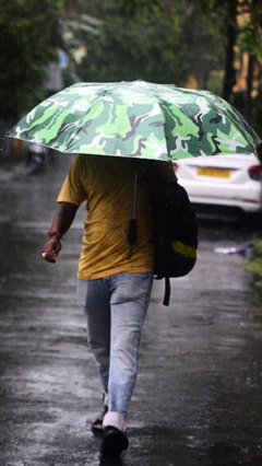 Gujarat Monsoon, rain , ગુજરાત, બીબીસી ગુજરાતી,ચોમાસું