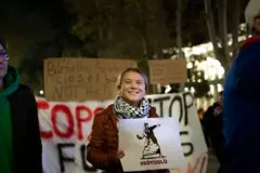 Greta Thunberg, COP29