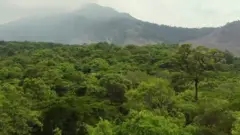 CLIMATE