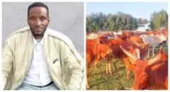 ሓሙሽተ ኣንስቲ፡ 52 ቆልዑን 800 ከብትን ዘለዎ ሽማግለ