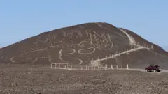 قط نازكا