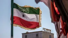 Bandeira da Somalilândia hasteada num mastro, em frente a um hotel que pode ser visto desfocado ao fundo