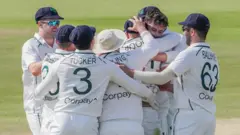 cricket