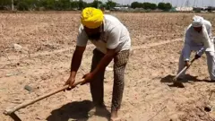 haryana