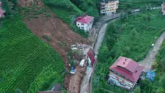 Rize sel