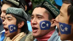 57084668 - ’غزہ میں لڑائی کی تباہ کن قیمت عام شہری ادا کر رہے ہیں‘