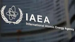 International Atomic Energy Agency