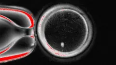 Imagem mostrando um objeto redondo, escuro no meio, com uma espessa faixa branca na sua circunferência. Existe um ponto branco brilhante que, se o círculo fosse um relógio, estaria na posição que marcaria seis horas.